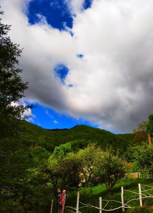 4Temporadas Villa Bran  Bagian luar foto