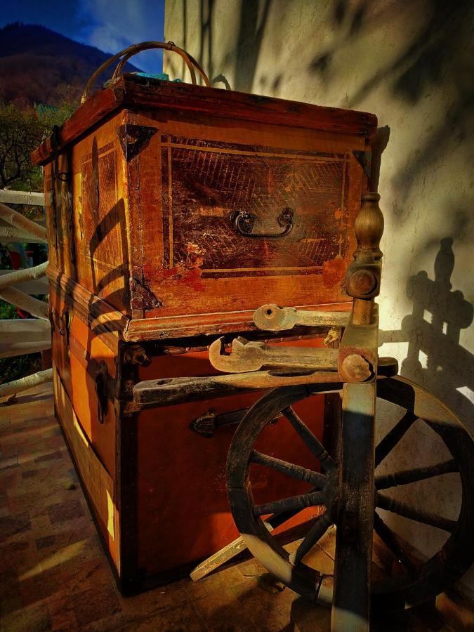 4Temporadas Villa Bran  Bagian luar foto